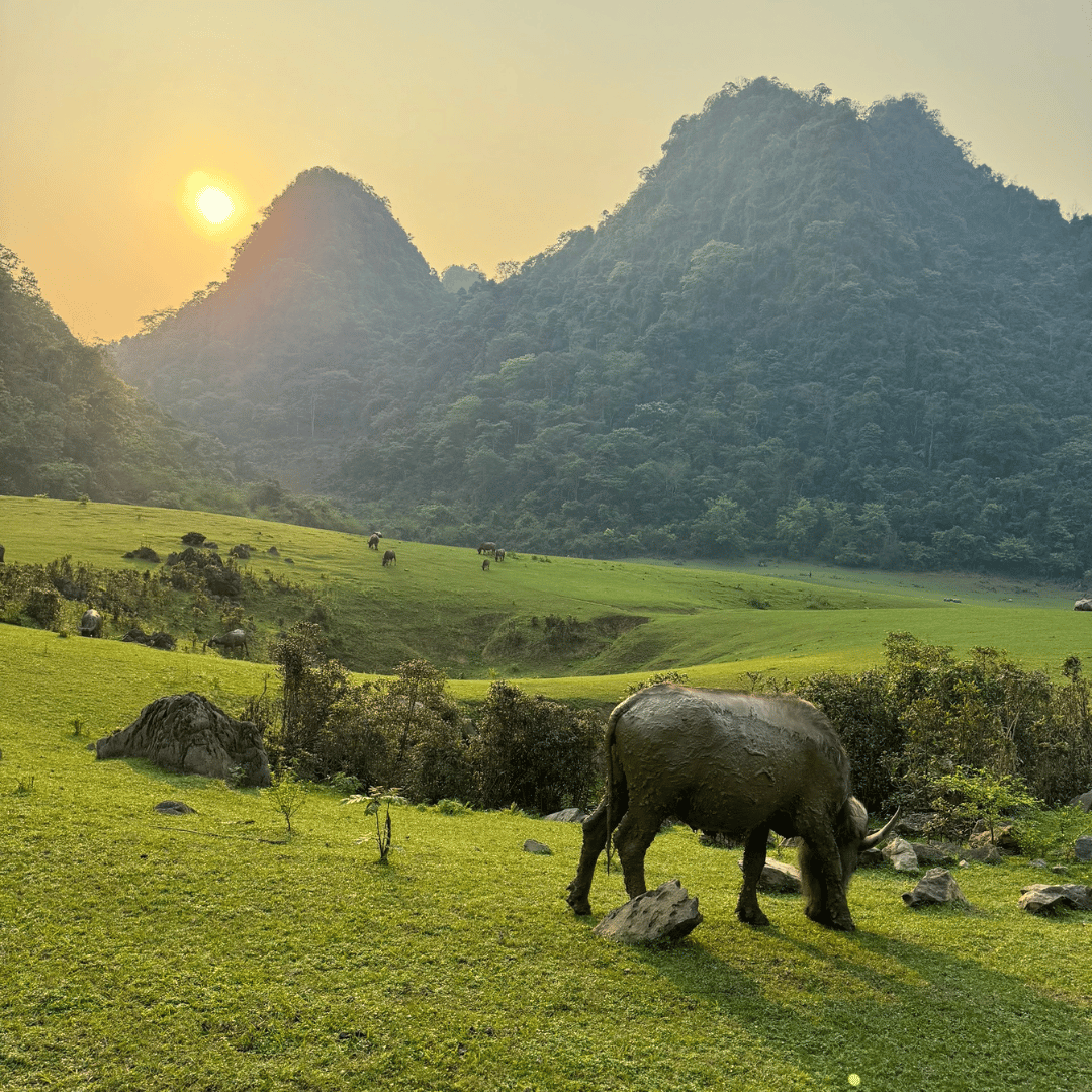 15 Days Fantastic Trekking Experience in Cao Bang